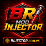 br mod injector