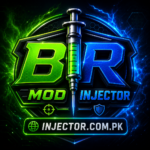 br mod injector